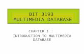 BIT 3193 MULTIMEDIA DATABASE CHAPTER 1 : INTRODUCTION TO MULTIMEDIA DATABASE