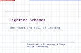Lighting Schemes The Heart and Soul of Imaging Quantitative Microscopy & Image Analysis Workshop.