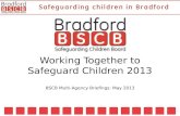 Working Together to Safeguard Children 2013 BSCB Multi-Agency Briefings: May 2013.
