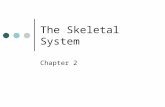 The Skeletal System Chapter 2. Imaging Consideration Diagnostic images include soft tissue and bony structure of interest. Soft tissue areas often hold.