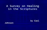 A Survey on Healing in the Scriptures by Carl Johnson.