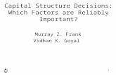 1 Capital Structure Decisions: Which Factors are Reliably Important? Murray Z. Frank Vidhan K. Goyal.
