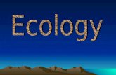 What is Ecology? Ecology is the scientific study of interactions among organisms and their environments.