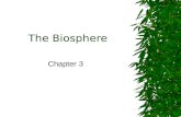 The Biosphere Chapter 3 What is ECOLOGY  1866 German Biologist Ernst Haeckel first coined the term ecology.  Came from the Greek word oikos meaning.