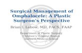Surgical Management of Omphalocele: A Plastic Surgeon’s Perspective Brian I. Labow, MD, FACS, FAAP Department of Plastic Surgery Children’s Hospital Boston.