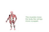 The muscles move the body like strings move a puppet.