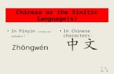 Zhōngwén In Pinyin (using our alphabet) : In Chinese characters: ? 1, 2, 3.