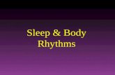 Sleep & Body Rhythms. What is Consciousness? Consciousness – Your immediate awareness of thoughts, sensations, memories, and the world around you. Experience.