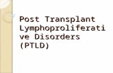 Post Transplant Lymphoproliferative Disorders (PTLD)