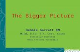 The Bigger Picture Debbie Garratt RN M.Ed, B.Ed, B.N, Cert. Couns Executive Director Real Choices Australia.