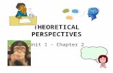 THEORETICAL PERSPECTIVES Unit 1 – Chapter 2. What is a Theoretical Perspective?