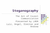 Steganography The Art of Covert Communication Presented by LADA Luiz, Angel, Dimitar and Andrew.