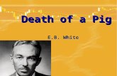 Death of a Pig E.B. White. Key points of the text White’s writing style: choice of words and humorous tone, free and smooth style White’s feelings to.