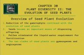 CHAPTER 30 PLANT DIVERSITY II: THE EVOLUTION OF SEED PLANTS Overview of Seed Plant Evolution 1.Reduction of the gametophyte continued with the evolution.