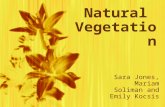 Natural Vegetation Sara Jones, Mariam Soliman and Emily Kocsis.