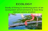 ECOLOGY Study of living & nonliving parts of an ecosystem (environment) & how they interact w/one another.