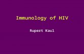Immunology of HIV Rupert Kaul. “The immunology of HIV” 1.Review of HIV-1, life cycle, transmission 2.How does HIV infect a person? Mucosal immune events.