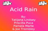 Acid Rain By: Tatijana Lindsey Priscilla Puca Pamela Marte & Joe Trembley.