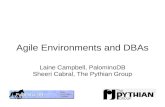 Agile Environments and DBAs Laine Campbell, PalominoDB Sheeri Cabral, The Pythian Group.