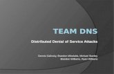 Distributed Denial of Service Attacks Dennis Galinsky, Brandon Mikelaitis, Michael Stanley Brandon Williams, Ryan Williams.