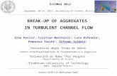 BREAK-UP OF AGGREGATES IN TURBULENT CHANNEL FLOW 1 Università degli Studi di Udine Centro Interdipartimentale di Fluidodinamica e Idraulica 2 Università.