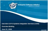 DoD ESI COTS Systems Integration Services (CSIS) Overview Briefing June 22, 2009.