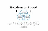 Evidence-Based Practice An Independent Study Short Course for Medical-Surgical Nurses.
