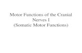 Motor Functions of the Cranial Nerves I (Somatic Motor Functions)