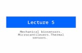 Lecture 5 Mechanical biosensors. Microcantilevers.Thermal sensors.
