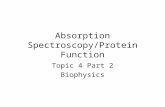 Absorption Spectroscopy/Protein Function Topic 4 Part 2 Biophysics.
