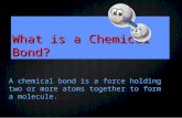 What is a Chemical Bond? A chemical bond is a force holding two or more atoms together to form a molecule.