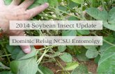 2014 Soybean Insect Update Photo: Jeremy Greene Dominic Reisig NCSU Entomolgy.