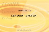 Copyright 2003 by Mosby, Inc. All rights reserved. CHAPTER 19 SENSORY SYSTEM.
