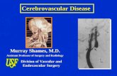 Cerebrovascular Disease Murray Shames, M.D. Assistant Professor of Surgery and Radiology Division of Vascular and Endovascular Surgery.