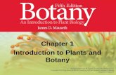 Chapter 1 Introduction to Plants and Botany. Topics Why knowledge in Botany is crucial? What is a plant? Kingdom Plantae Origin of photosynthesis Origin.