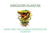 KINGDOM PLANTAE WHAT ARE THE CHARACTERISTICS OF PLANTS?