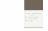 Plant Diversity II: The Evolution of Seed Plants Chapter 30.