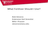 What Fertilizer Should I Use? Bob Stevens Extension Soil Scientist WSU- Prosser stevensr@wsu.edu.