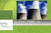 Nuclear Power in Perspective. Where does it fit in the global energy portfolio?