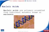 End Show 2–3 Carbon Compounds Slide 1 of 37 Copyright Pearson Prentice Hall Nucleic Acids Nucleic acids are polymers assembled from individual monomers.