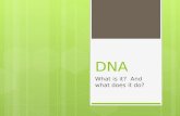 DNA What is it? And what does it do?. What two things did you not know, had forgotten or felt were important?