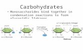 Carbohydrates Monosaccharides bind together in condensation reactions to form glycosidic linkages.