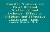 Domestic Violence and Court Ordered Visitation and Exchange: Effect on Children and Effective Visitation Plans, Joyanna Silberg, Ph.D.