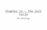 Chapter 12 – The Cell Cycle AP Biology. In 1855 Rudolf Virchow stated “where a cell exists, there must have been a preexisting cell, just as animal arises.