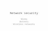 Network security Worms Botnets Wireless networks.