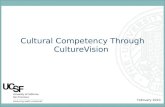 Cultural Competency Through CultureVision February 2010.