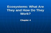 Ecosystems: What Are They and How Do They Work? Chapter 4.