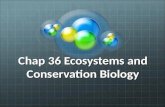 Chap 36 Ecosystems and Conservation Biology. 36.1 Feeding Relationships Every organism requires energy to carry out life processes such as growing, moving,