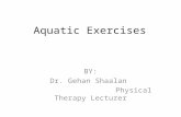 Aquatic Exercises BY: Dr. Gehan Shaalan Physical Therapy Lecturer.