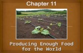 Producing Enough Food for the World.  Will there be enough food??  With human population growing and much of the world’s arable land being used, how.